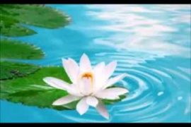 Healthy Affirmations for a Better Life