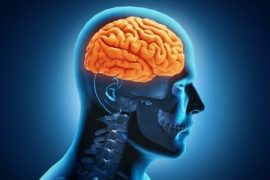 Top 5 Foods to Boost Brainpower
