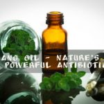 Oregano oil is a powerful antibiotic. It has eight times more antioxidants tan apples and three times as much as blueberries. Oregano oil has been used as a remedy for over a thousand years. The Greeks are the first known people to have used it for medicine and its main use was to treat respiratory and digestive diseases.