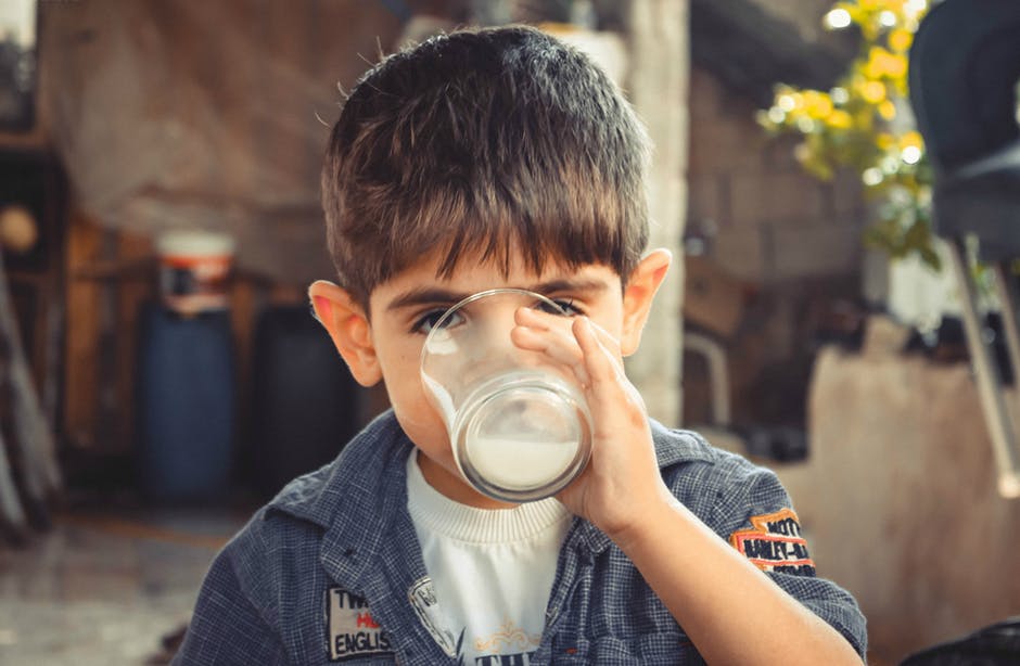  Drinking Camel's Milk