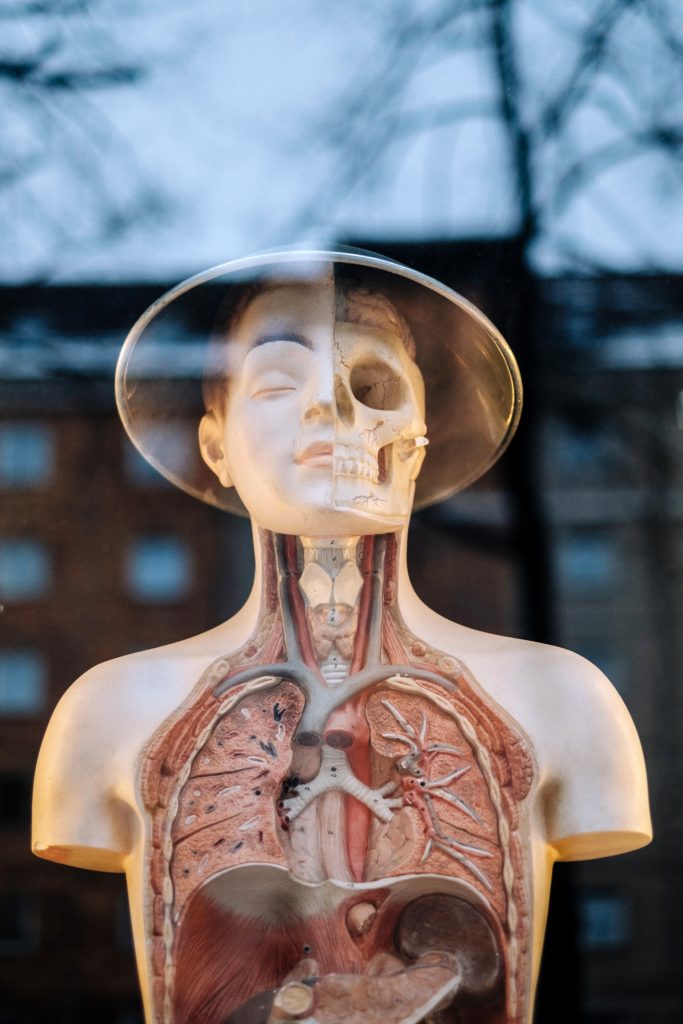 PURIFY lungs