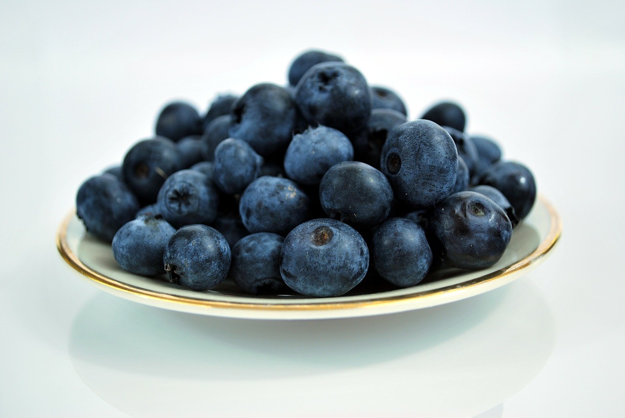 Top 5 Foods to Boost Brainpower