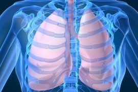BRAND NEW: DISCOVER TOP 5 BEST FOODS TO CLEANSE YOUR LUNGS - VIDEO