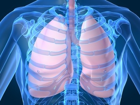 BRAND NEW: DISCOVER TOP 5 BEST FOODS TO CLEANSE YOUR LUNGS - VIDEO