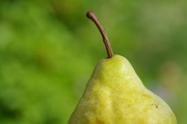 Deliciously Healthy Pear & Ginger Detoxifying Drink