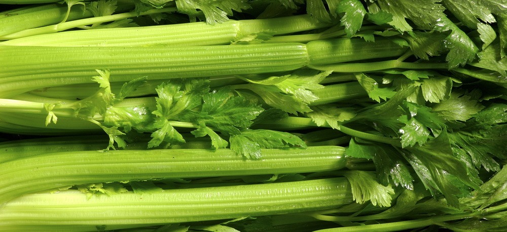 Celery for juicing
