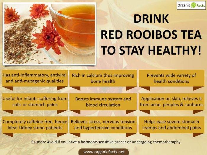 redrooibostea