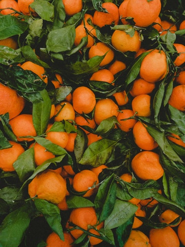 Fruits