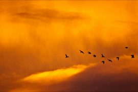 Scientists Hail This Tune As The Most Relaxing Ever Recorded