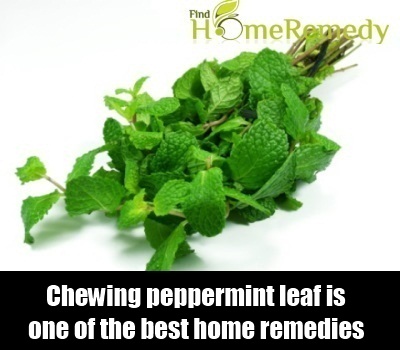 Peppermint Leaves