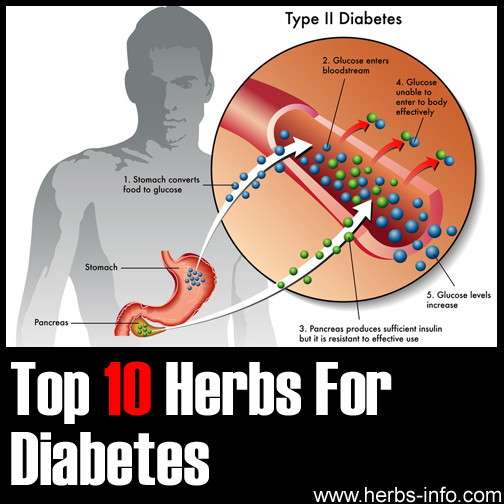 Herbs For Diabetes