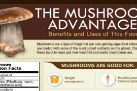 Discover Why Mushrooms are Fast Becoming a "Superfood"