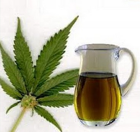 canabis oil