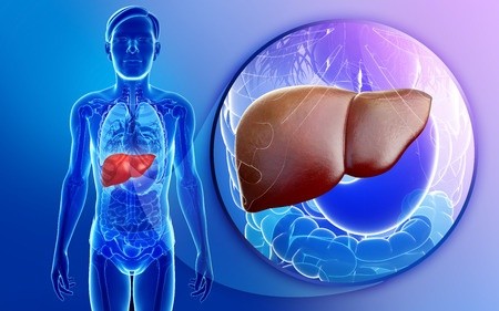 Top 10 Natural Methods to Fight Fatty Liver Disease